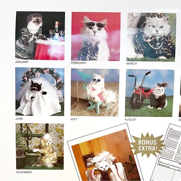 Vintage 1989 Calendar Pictures of Cats Dressed Up in Clothes Kitty Cute Kitten - Picture 2 of 16